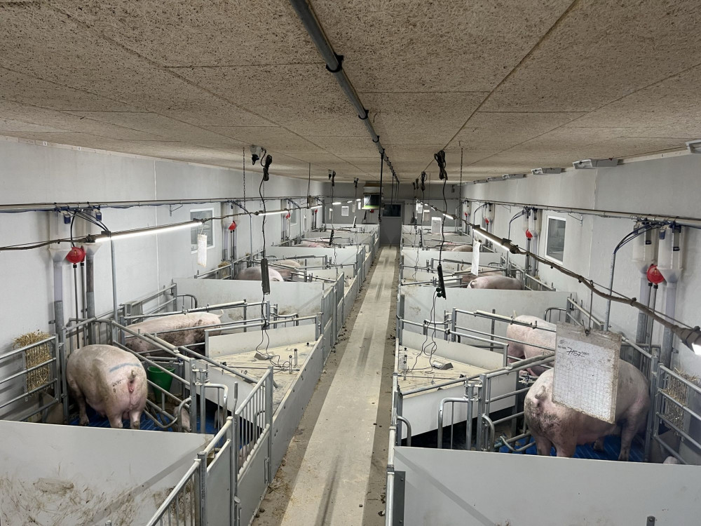 Vi søger elev til vores sohold